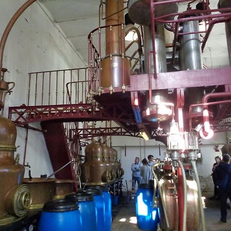 Chambres D'Hotes De L'Ile Du Saule Saumur Bagian luar foto