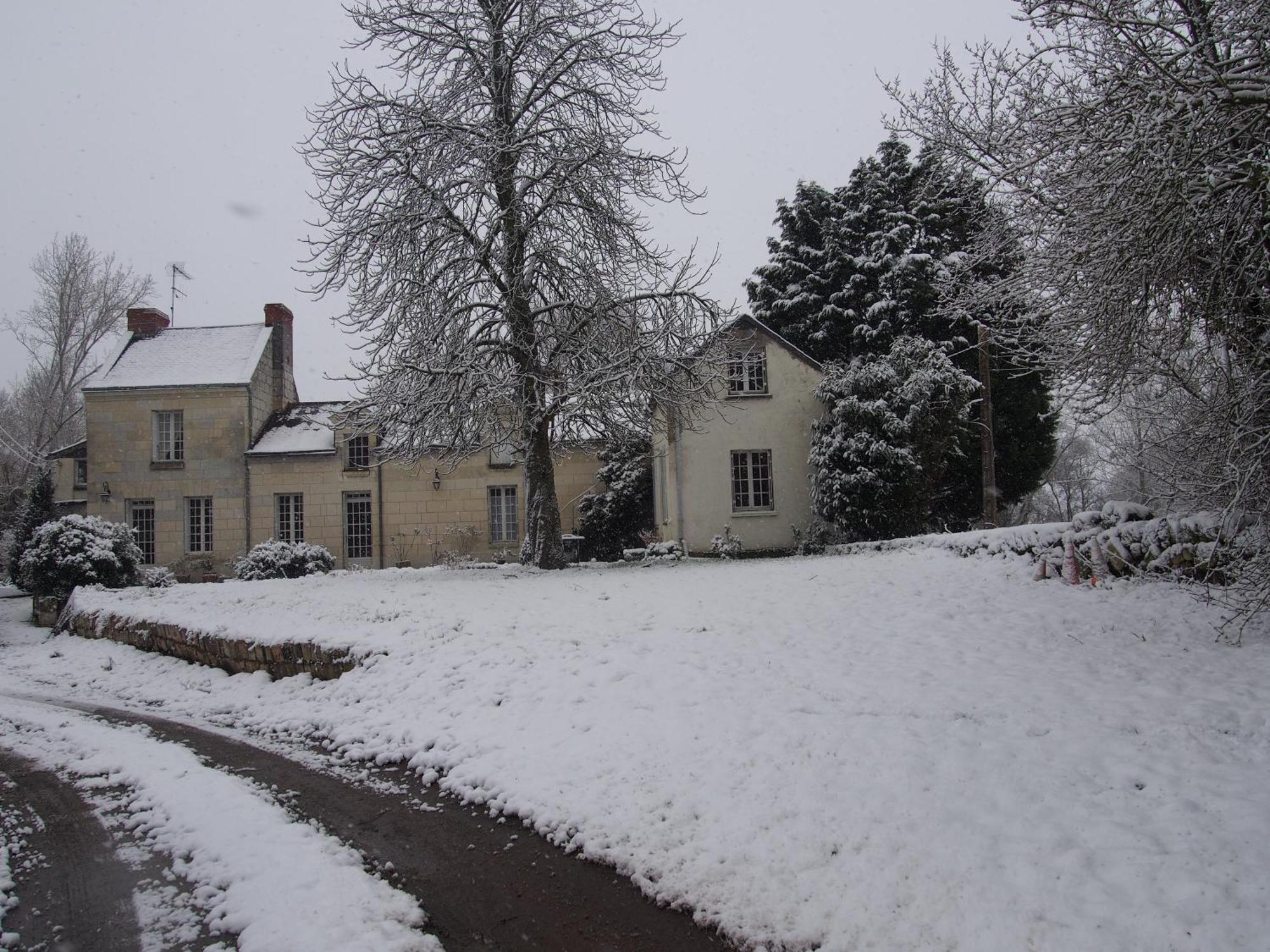 Chambres D'Hotes De L'Ile Du Saule Saumur Bagian luar foto