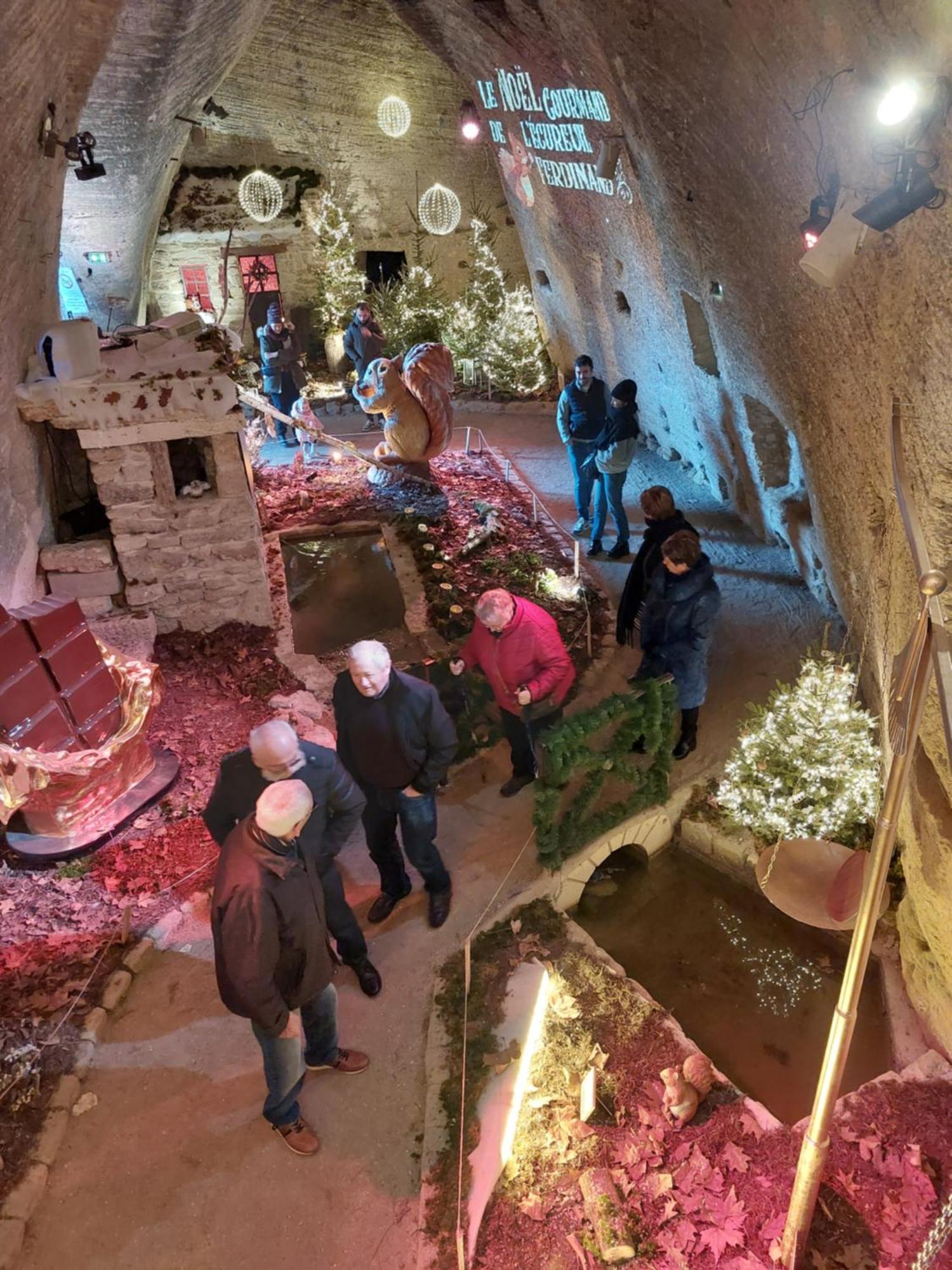 Chambres D'Hotes De L'Ile Du Saule Saumur Bagian luar foto